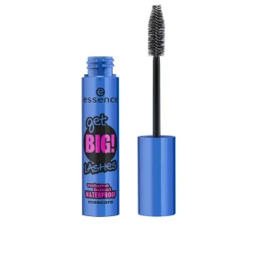 GET BIG LASHES WP 01